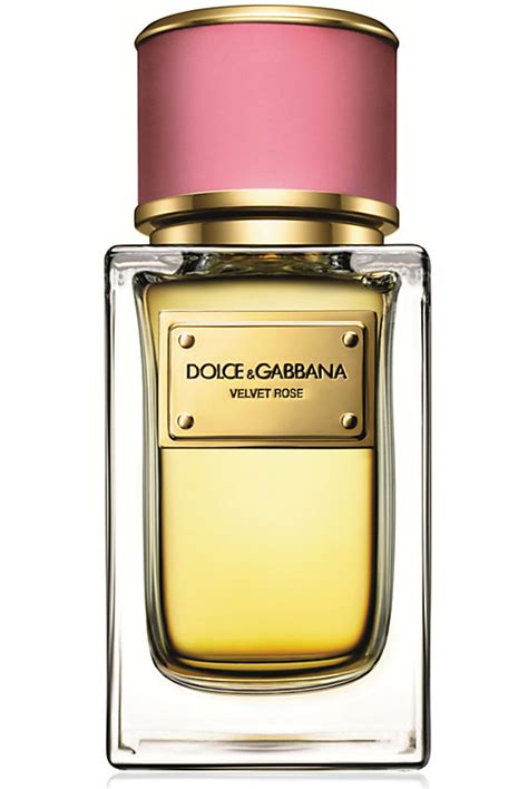 desire parfum dolce gabbana|velvet rose dolce and gabbana.